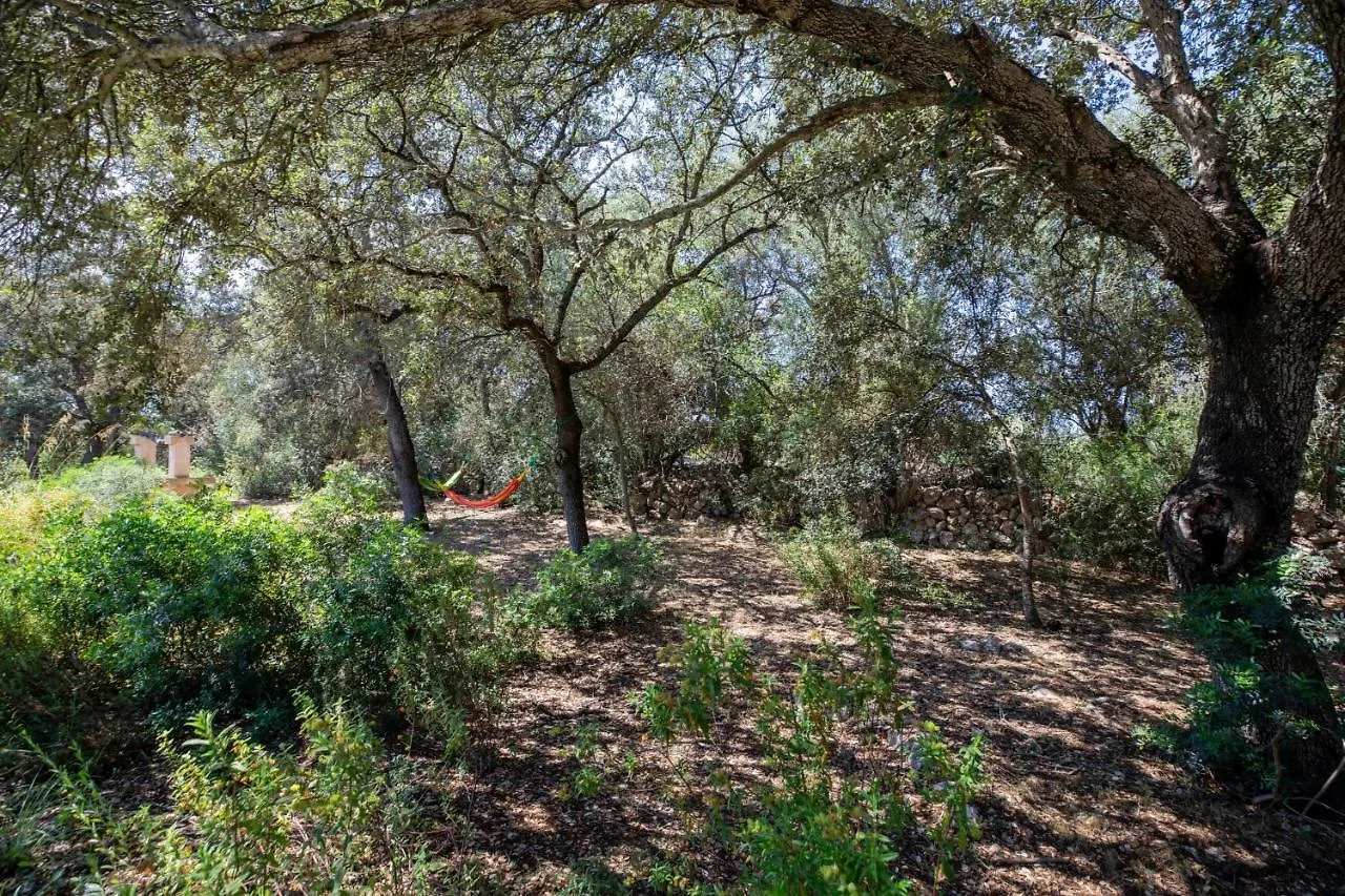 Costitx - 39376 Mallorca Spagna